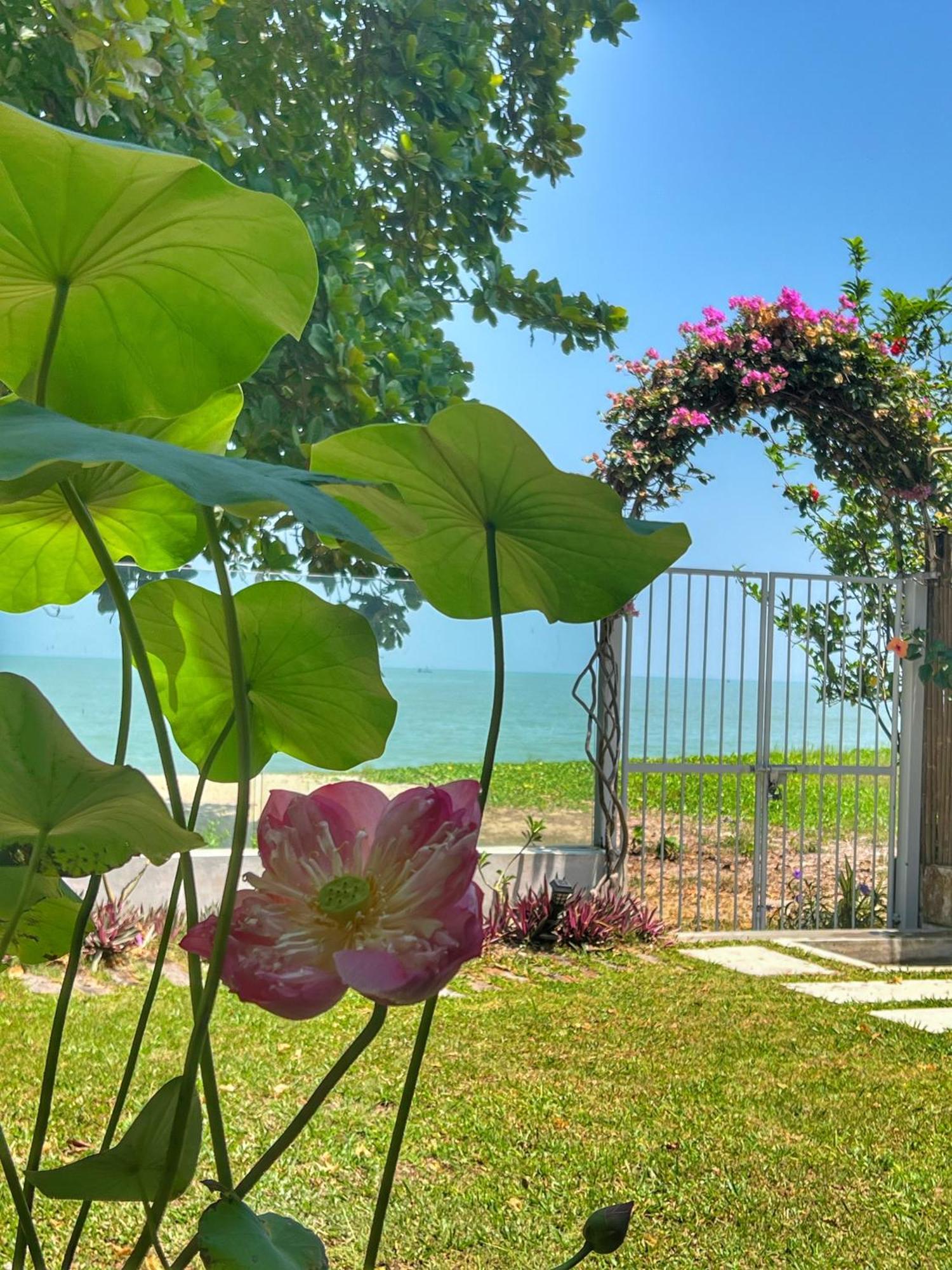 Smell Rose Beach Garden Batu Ferringhi Exterior foto